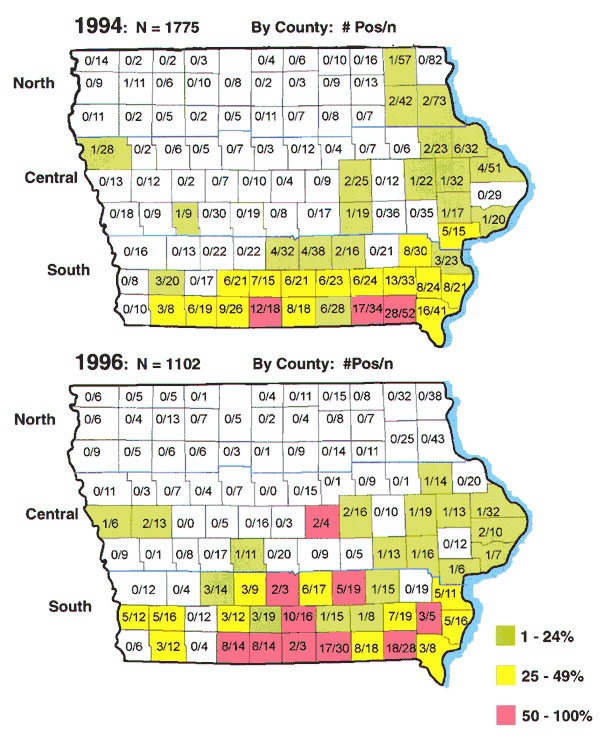 Iowa maps showing Ehrlichia chaffeensis seropositive specimens by county. The total number of positive specimens was 102 of 1,775 in 1994 (top map) and 91 of 1,102 in 1996 (bottom map). Within each of the 99 counties is listed the number of positive specimens over the total submitted for the county. Colors indicate the percentage of positive specimens as listed in the key.