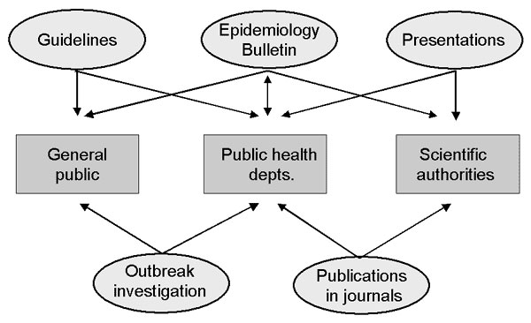 Program communication activities and principal target groups for the development of applied infectious disease epidemiology at the Robert Koch Institute.