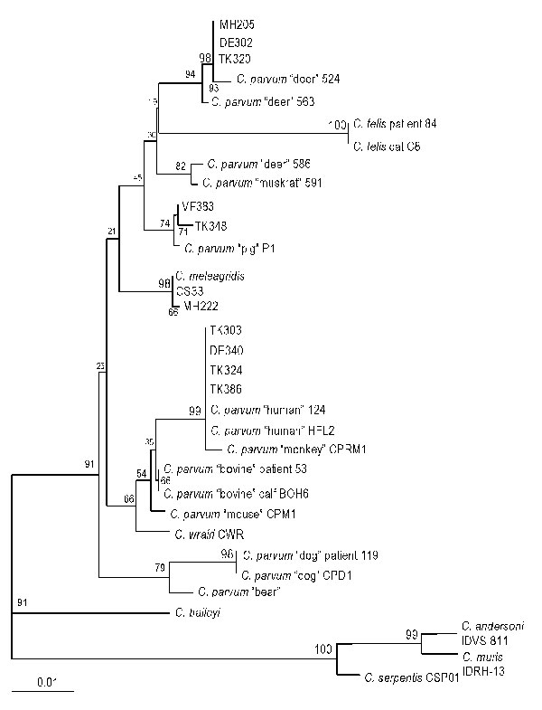 Phylogenetic relationship of isolates from sporadic cases with reference 18S rRNA gene sequences from various Cryptosporidium species and genotypes. Bootstrap values that are &gt;95% are shown in larger font. Bar = 0.01 substitution per site.