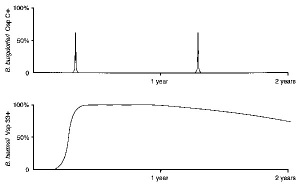 Schematic representation of the presence of OspC on Borrelia burgdorferi and variable small protein (Vsp) 33 on B. hermsii during infection in their respective tick vectors. Shown is the proportion of spirochetes detected with double-label immunofluorescence stains that includes either anti-outer surface protein C (Osp C) antibody (top) or anti-Vsp33 antibody (bottom). B. burgdorferi produces OspC in the midgut of Ixodes scapularis for only a few days, starting after these ticks have attached and begun to feed. During the 3 to 5 days of tick feeding, these spirochetes replicate, disseminate from the midgut, and are transmitted via saliva. In contrast, B. hermsii gradually upregulates the synthesis of Vsp33 after infecting Ornithodoros hermsi, and essentially all the spirochetes express the protein during persistent infection of the tick salivary glands.