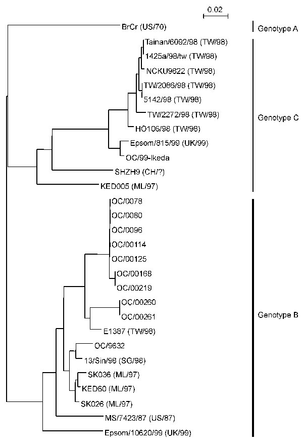 Phylogenetic analysis based on the human enterovirus 71 (HEV71) VP4 nucleotide sequences. The phylogenetic tree was constructed as described in the Figure 1 legend. The genotypes of the HEV71 cluster are denoted on the right. The VP4 sequences of 18 HEV71 strains available from GenBank are denoted by strain name, followed by the country and year isolated. Abbreviations for countries are as follows: US, United States; ML, Malaysia; CH, China; UK, United Kingdom; TW, Taiwan; and SG, Singapore. The accession numbers are as follows: BrCr; U22521, Tainan/6092/98; AF304459, 1425a/98/tw; AF176044, NCKU9822; AF136379, TW/2086/98; AF119796, 5142/98; AB037251, TW/2272/98; AF119795, HO106/98; AB037252, Epsom/815/99; AJ296213, SHZH9; AF302996, KED005; AB051334, E1387; AB051313, 13/Sin/98; AF251358, SK036; AB051333, KED60; AB051335, SK026; AB051332, MS/7423/87; U22522, Epsom/10620/99; and AJ296214.