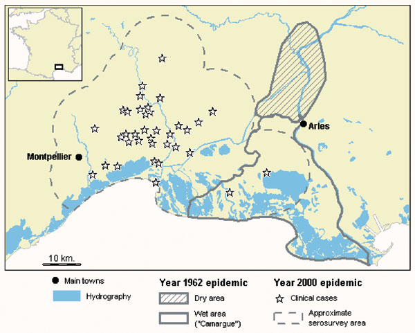 West Nile virus clinical infection in equines in southern France, 1962–2000.