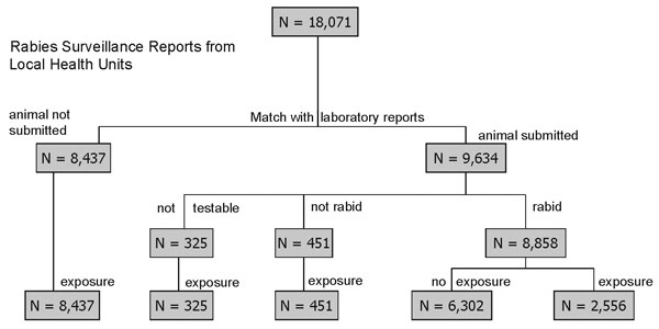 Matching of rabies surveillance reports from local health departments and laboratory reports for submitted animals by test result and human exposure, New York, 1993–1998.
