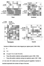 Thumbnail of Distribution of trapped bank voles through 1996–1999 and representation of the vegetation cover. On each grid, the 100 live traps are represented by white, light, or dark gray squares. LC, low cover; DC, dense cover provided by ground vegetation. Number in parentheses is the number of traps in the area.