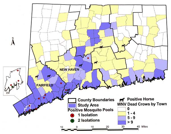 Location of West Nile (WN) virus-positive mosquito pools and horses, of towns by number of WN virus-positive birds, and of the site where the WN virus seroprevalence survey was performed, Connecticut, 2000.