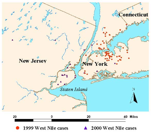 Metropolitan New York area hospitalized West Nile virus patients, 1999-2000.