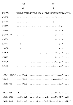 Thumbnail of Amino acid alignment of the region surrounding the potential glycosylation site of the E protein (shown in bold). KUN viruses not shown display the identical amino acid sequence as the prototype or the isolate OR205, depending on the glycosylation status of the virus. Alignment was performed with the Clustal W program.