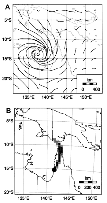 The estimated flight trajectories at 100 m (A) and backtrack simulations (B) of mosquitoes from the Mitchell River for December 27, 1997. Shading represents the number of back trajectory endpoints per km2 per million simulated mosquito trajectories, with white = 0, light = &lt;10, medium 10 to 20, and dark &gt;20.