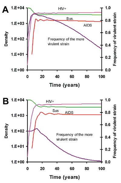 Evolution of HIV virulence in a steady state host population of 10,000. There are two HIV strains in these simulations. For one, the asymptomatic periods is 520 weeks and, in the more virulent population (*), it is 260 weeks. The duration of stages 0,1, and 3 is identical for both populations and the same as those in Figure 1. A) The weekly rates of transmission of the virus are identical in both populations, so that during the asymptomatic period in a wholly susceptible host population, the mor