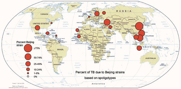 Percentage of tuberculosis due to Beijing strains. Data from studies based on spoligotyping (Table 1).