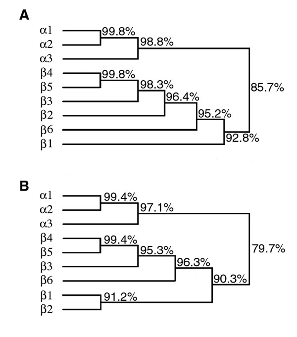 Dendrograms depicting the relationships among bfpA alleles (A) and predicted bundlin proteins (B). Percentage identities are indicated.