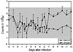 Thumbnail of Mean platelet counts in horses infected with virus strains CPA201 and OAX131. Bars indicate standard deviations; shaded box indicates approximate normal values.