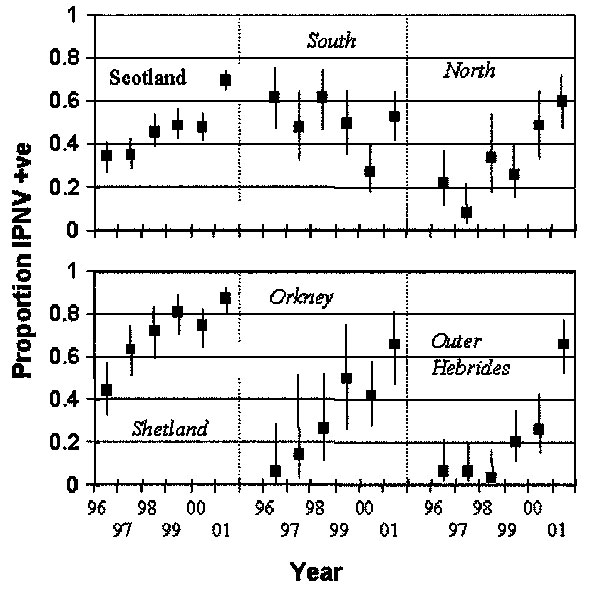 Prevalence of infectious pancreatic necrosis virus in Scottish marine salmon production sites by region and year. The regions are northern mainland Scotland, southern mainland Scotland, Shetland, Orkney, and the Outer Hebrides. Bars show 95% confidence intervals.
