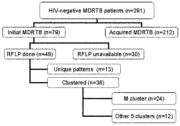HIV-negative multidrug-resistant tuberculosis groups investigated. MDRTB, multidrug-resistant tuberculosis; RFLP, restriction fragment length polymorphism.