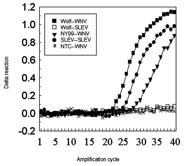Real-time reverse transcriptase polymerase chain reaction of RNA extracted from the wolf brain. The amplification was duplexed with primers and probes for West Nile and St. Louis encephalitis viruses detected with fluorochrome dyes, FAM and VIC, respectively. Test and control samples were run in parallel and in duplicate (extraction and amplification) with consistent results. Delta reaction on the y axis represents the change in threshold fluorescence. The box lists the source of the template nu