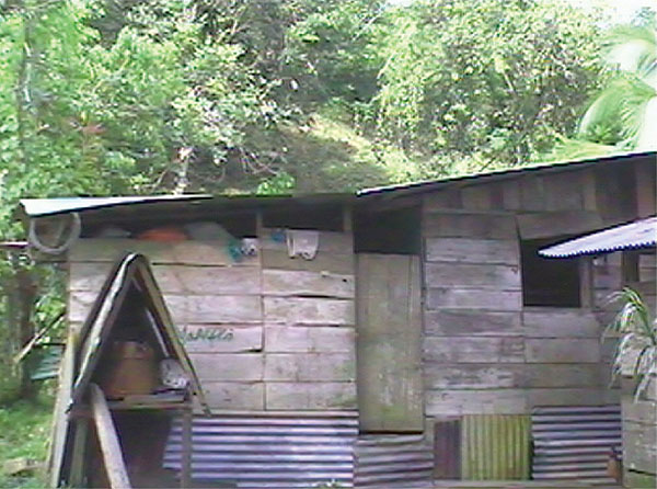 Patient’s home, located in an area where the risk of being bitten by a bat was high.