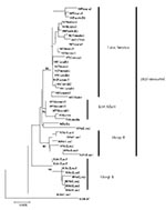 Thumbnail of Phylogenetic tree of dengue virus 3, subtype III group A, group B, East Africa, and Latin America. Tree is based on 966-base region spanning positions 179–1,145 on the viral genome, capturing a portion of the C gene, all of pre-M/M gene and a portion of the E gene. Nucleotide substitutions conserved within each dengue virus 3, subtype III group (group A, B, East Africa, and Latin America) are listed in Table 3. DHF, dengue hemorrhagic fever.