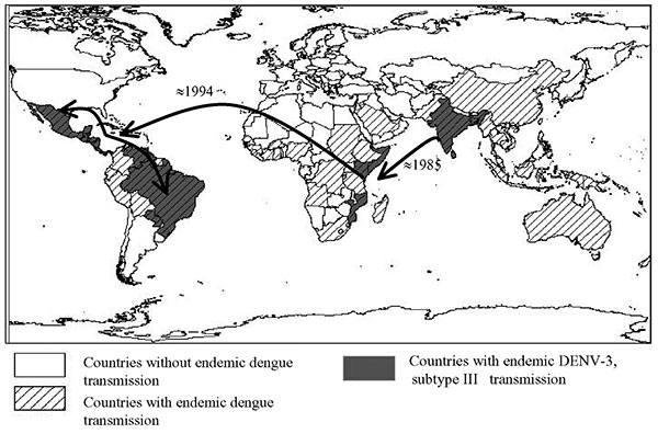 Global spread of dengue virus 3 (DENV-3), subtype III, which has been continuously circulating in the Indian subcontinent from the 1960s to the present. The virus was first isolated from East Africa in 1985 in Mozambique and subsequently from Kenya (1991) and Somalia (1993) (32,33). DENV-3 subtype III was first detected in the American continent in 1994 (Nicaragua and Panama) and the virus has subsequently spread through most of Latin America (13,14,16,29,30). The arrows depict the most likely d