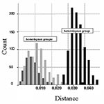 Thumbnail of Histogram of the observed distances (Kimura two parameters method) within Canary Islands and Iberian Peninsula groups (dark gray) and between them (light gray). Analysis of variance (ANOVA) (one-way) test results: F=5238 (p=0.000). Distances within homologous groups: Canary Islands (light gray): mean 0.008 (standard deviation [SD] 0.004; n=351); Iberian Peninsula (dark gray): mean 0.010 (SD0.006; n=666). Distances between heterologous groups (black): mean 0.033 (SD 0.005; n=999).
