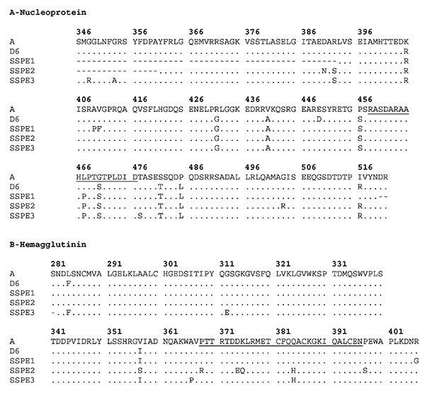 Replacement changes found in N and H genes from subacute sclerosing panencephalitis patients. Comparisons were made with D6 genotype reference strain (New Jersey, USA/94/1). Sample Buenos Aires.ARG/21.98 was taken as a consensus sequence for the 1998 Argentine outbreak (ARG21.98). Numbers indicate the position in A-nucleoprotein and B- hemagglutinin protein, respectively. Dots designate the same residue as genotype D6. Nonsilent changes are represented by single letter amino acid code. Antigenic