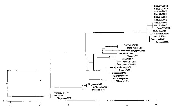 Phylogenetic analyses of the 14 isolates of coxsackievirus A24 variant (CA24v) from the South Korean outbreak of acute hemorrhagic conjunctivitis, summer 2002. The entire protease 3C region (549 nucleotides) of CA24v was amplified by polymerase chain reaction and sequenced. The nucleotide sequences of this region of the 14 Korean isolates were compared with those of the strains reported from other Asian countries in previous outbreaks. The phylogenetic tree was constructed by the unweighted pair