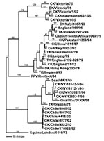 Thumbnail of Phylogenetic tree of the hemagglutinin subtype 7 nucleotide sequence, which includes both low pathogenic and highly pathogenic avian influenza viruses from Chile. Representative avian and equine H7 influenza gene sequences are also included. The tree was generated with PAUP 4.0b4 computer program with bootstrap replication (500 bootstraps) and a heuristic search method. The tree is rooted to A/Equine/London/1416/73, and branch lengths are included on the tree. Standard two-letter po