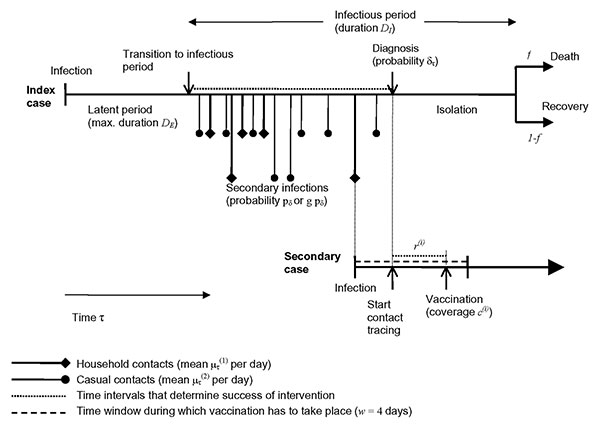 The time course of events in the process of transmission and intervention. The success of intervention is essentially determined by the time between start of the infectious period and diagnosis of the index case, and the time between the start of contact tracing and the vaccination of the contact.