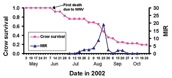 Survival curve (Kaplan-Meier curve; staggered-entry method) (10,11) for radio-tracked American Crows (N = 39) relative to the weekly minimum infection rates (MIR) of mosquitoes collected by week at radio-tracked crow roost sites in east-central Illinois in 2002.
