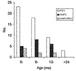 Thumbnail of Number of children with respiratory syncytial virus (RSV), human metapneumovirus (HMPV), and RSV/HMPV co-infection by age.