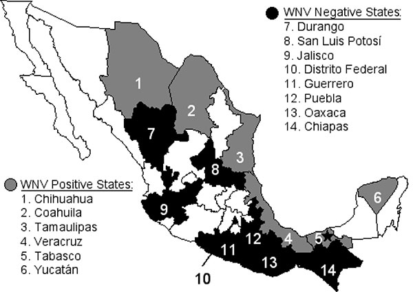 Map showing the Mexican states sampled for antibodies to West Nile virus and Venezuelan equine encephalitis virus in equines. Unshaded states were not sampled. The location of the West Nile virus isolation from a dead Common Raven is shown by a star.