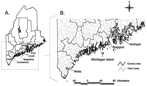 A. Counties in southern Maine where ticks were collected. B. Four towns where ticks infected with Anaplasma phagocytophilum or Babesia microti were found.