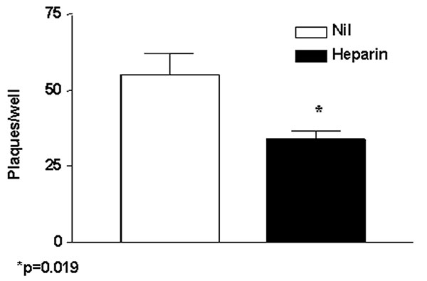 Effect of the sulfated polysaccharide heparin (100 μg/mL) added 30 minutes before injecting Vero cells with 100 PFU/mL of severe acute respiratory syndrome–associated coronavirus strain HSR1. The results are expressed as number of plaques/well and represent the mean ± SEM of two independent experiments each carried out in duplicate cultures. The p value was calculated by the Mann-Whitney U test.