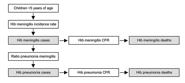 The meningitis incidence rate method for calculating Haemophilus influenzae type b (Hib) disease rate by using the Hib rapid assessment tool. White boxes are data input points and gray boxes are disease rate estimates.