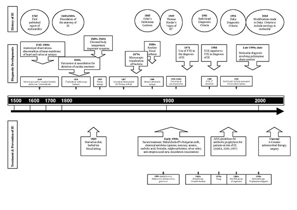 Historial timeline describing concurrent developments regarding the history of emerging causal agents of infective endocarditis (IE), diagnostic developments, treatment options, and diversity of causal agents.