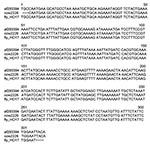 Thumbnail of Alignment of BhCS.781p/BhCS.1137n gltA gene amplicons for 306 bp of Bartonella bovis (GenBank accession no. af293394), a B. bovis isolate (cow 2226) from a Californian cow and the horn fly pool (fly-HO17).