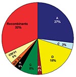 Thumbnail of Distribution of subtypes and recombinant viruses. The pie chart represents 66 strains for which sequences from at least 2–3 gene regions were available for comparison; the subtypes in the pie chart represent concordant phylogenies suggestive of possible “pure” subtypes; the CRF01 and unique recombinant viruses are indicated in the pie chart. Table 2 summarizes subtypes of unique recombinant viruses.