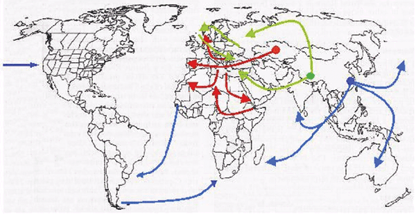 Geographic origin and routes of spreading of three historical plague pandemics labeled in red (Justinian plague), green (Black Death), and blue (modern), according to historical transcriptions reviewed in Perry (2).