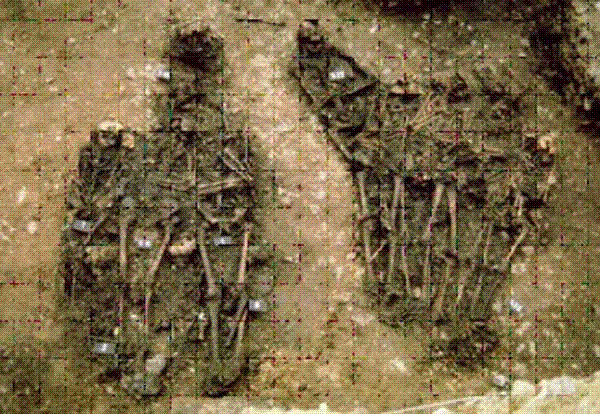 Partial view of the grave in Dreux investigated in this work, which illustrates anthropologic features of a mass grave suitable for paleomicrobiology research.