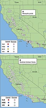 Thumbnail of Map of California showing locations where (A) 9,731mosquito pools were collected and (B) 212 sentinel chicken flocks were located through November 1, 2003. Data are cumulative for 2003 and show negative, previously positive, and currently active sites as downloaded from http://www.vector.ucdavis.edu/. SLEV, St. Louis encephalitis virus; WEEV, western equine encephalitis virus; BUNV, viruses in the California encephalitis virus complex, family Bunyaviridae; WNV, West Nile virus.