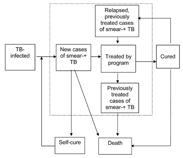 Model 1, used by Styblo, of tuberculosis case detection and treatment outcome in tuberculosis control program. Prevalent cases are those within dotted line.
