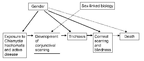 Trachoma as a disease that occurs throughout the life of a person.