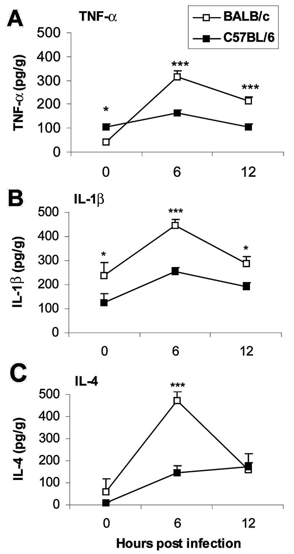 Proinflammatory cytokines are increased in the hearts of susceptible mice during the innate immune response. Susceptible BALB/c mice were compared to resistant C57BL/6 mice for the level tumor necrosis factor (TNF)- α (A), interleukin (IL)-1β (B), and IL-4 (C) cytokines in heart homogenates 6 and 12 hours after CB3 infection. Data are represented as the mean ± standard error of the mean. *p &lt; 0.05; ***p &lt; 0.001. Modified from (33).