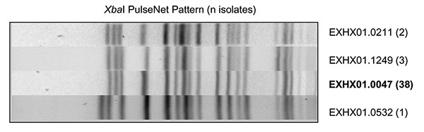 XbaI-generated pulsed-field gel electrophoresis patterns for Escherihia coli O157 isolates reported as indistinguishable from PulseNet pattern EXHX01.0047.