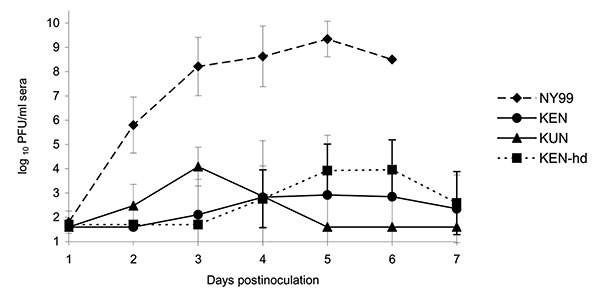 Viremia profiles for West Nile virus (WNV)–infected American Crows after injection of 1,500 PFU of KUN or KEN/NY99 WNV. Viral titers were determined by plaque formation on Vero cells and represented as geometric means. A detection limit of &gt;1.7 log10 PFU/mL crow serum was determined. Bars represent standard deviations (SD) of the mean. hd, high dose.