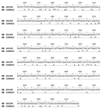Thumbnail of Comparison of partial sequences (465 base pairs) of the S segment of Crimean-Congo hemorrhagic fever virus isolated in Mauritania. The BLAST tool was used and positions of nucleotides in the entire S segment are shown. The strain HD 168662, which is representative of human isolates obtained from this study, shows 82.1% nucleotide identity with the strain HD 49199, isolated from a human case-patient in Mauritania in 1988.