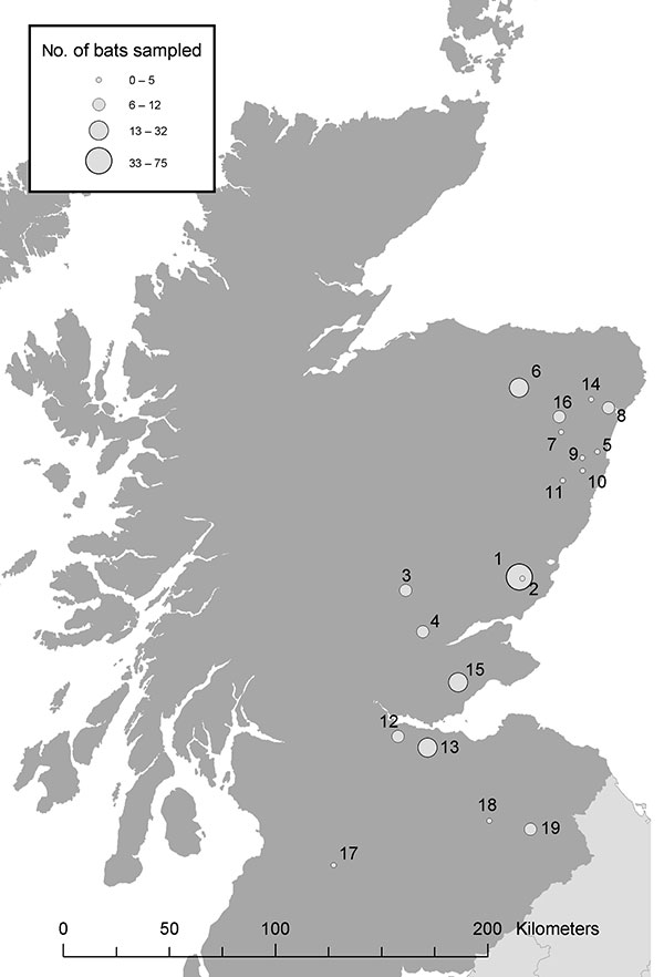 Bat sampling locations in southern and eastern Scotland. The circles indicate both the location (number) and an estimate of the number (size) of bats sampled.