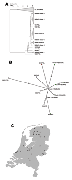 Thumbnail of A) Phylogenetic tree of European bat lyssavirus 1 (EBLV1) sequences detected in serotine bats in the Netherlands, 1997–2003, and some historic sequences detected in bats in Europe. Analysis performed with maximum parsimony of representative DNA sequences of different EBLV1 sequences. B) Relationships between 7 different serotine bat EBLV1a sequence lineages (numbered "clusters" 1 to 7): maximum parsimony unrooted tree of representative EBLV1 sequences detected in serotine bats in th
