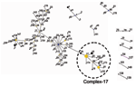 Thumbnail of Clustering of 175 sequence types representing 411 isolates with eBURST (25). This algorithm identifies the founder of a complex or genogroup of related sequence types (ST) and subsequent patterns of evolutionary descent. The primary founder, indicated in blue, of a complex is defined as the ST with the largest number of single locus variants (SLVs). Larger complexes may contain secondary founders of additional lineages that have a number of SLVs of their own. These secondary founder