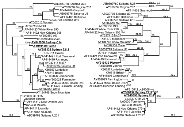 Phylogenetic analysis of the nucleotide sequences of capsid and polymerase regions of 9 identified recombinant norovirus genogroup II strains in relation to 26 known strains and prototype strains. The left tree analyzes the relationship of a 420-bp region of the 3´ end of the polymerase region. The right tree shows the relationship of 550 bp of the 5´ end of the capsid sequence. Suspected recombinants are underlined to emphasize their different phylogenetic groupings, and strains described in th