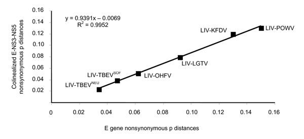 Correlation between p distances at nonsynonymous sites by using the Nei and Gojobori method (9) obtained from complete E gene and colinearized E-NS3-NS5 sequences. As previously reported (8), all distances were calculated between Louping ill virus (LIV) and tick-borne encephalitis virus Neudoerfl strain, tick-borne encephalitis virus Sofjin strain, Omsk hemorrhagic fever virus (OHFV), Langat virus (LGTV), Kyasanur Forest disease virus (KFDV), and Powassan virus (POWV), respectively.